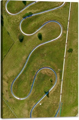 Canvas Wall Art for Living Room Snake the mountains Framed Prints Poster for Bedroom Bathroom Decor Painting Home Wall Artwork 20x30 Kitchen