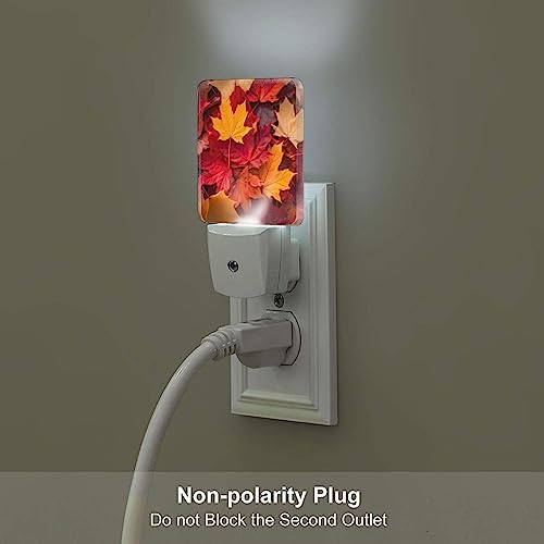 Image of Autumn Fall Leaves LED Plug-in Night Light 2-Pack, Auto Sensor Nightlights Set of 2 for Bedroom Bathroom