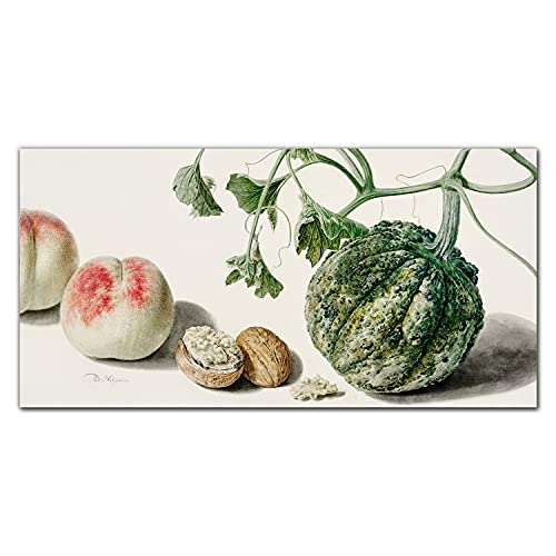 Photo sur verre Coloray 100x50cm décoration murale tableau en verre cuisine noix