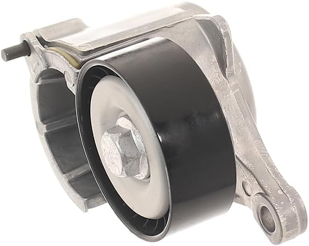 SKF VKM 33019 Multi-V tensioner kit