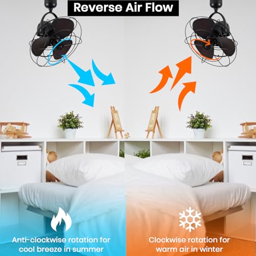 oltao Nova Caged Wall & Ceiling Fan - Black, 16-inch Black - 2 - Image 6