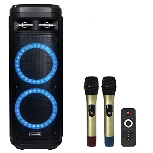 speaker karaoke 10 inch