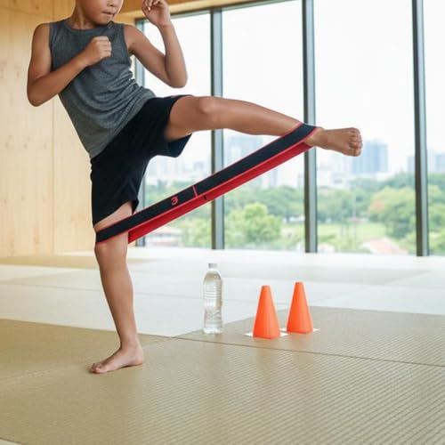 HEAVENGLOW Store Meadawgs Taekwondo Kick Band Red - Image 6