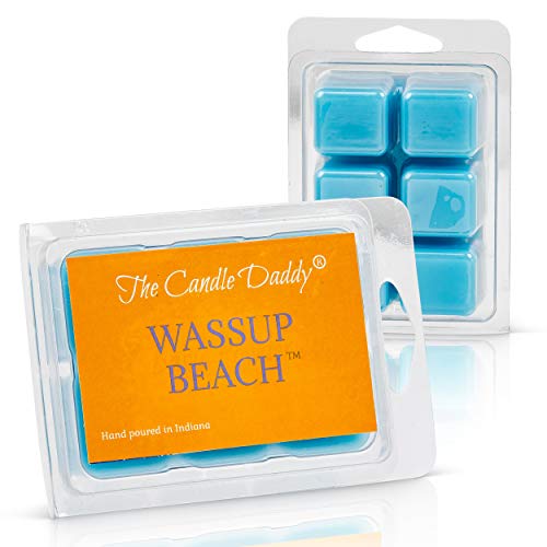 Wassup Beach- Funny Beach Ocean Scented Melt- Maximum Scent Wax Cubes/Melts- 1 Pack