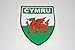 Price comparison product image Rapro Graphics Cymru Bumper/Window Sticker