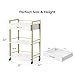 OmySalon Salon Trolley Cart with Wheels, Esthetician Cart with 1 Drawer & 2 Trays, Mobile Storage Organizer for Beauty Spa Massage Tattoo Esthetic Facial Tool Holder Station, White Gold