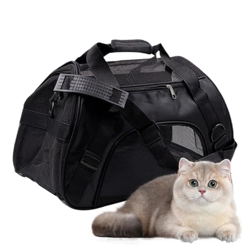 ybgL[ - pbh蒲\XgbvP[Xt,ʋC܂肽݉\hbOgxL[ | AEghA U nCLO s@ Ԃ̃V[g qL p