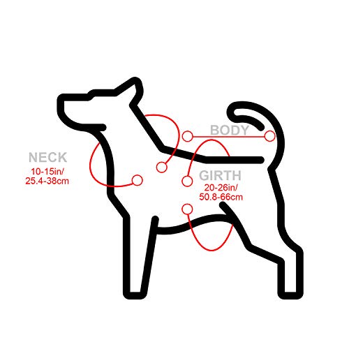 Dog Sombrero Hat Pet Serape Poncho Costume Multicolor Funny Dog Costume Adjustable Sombrero Costume Mexican Dog Poncho Straw Hat Chihuahua Clothes For Mexican Party Decorations (M) #TOP2