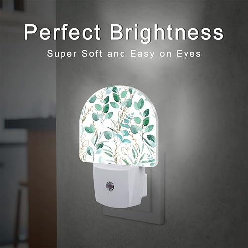 Image of Green and Gold Eucalyptus Leaves Night Light Plug into Wall,Watercolor Botanical Leaves Dusk to Dawn Night Light,0.5w Energy Saving Sleep Friendly Nightlights for Kids Boys Girls Home Decor