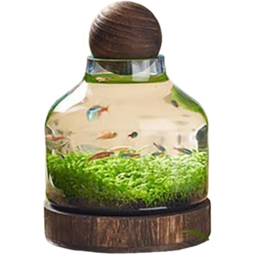 TAYOAKX l NGCeBu ؐT|[g Rei ȉ~` k͔|Rei (A)