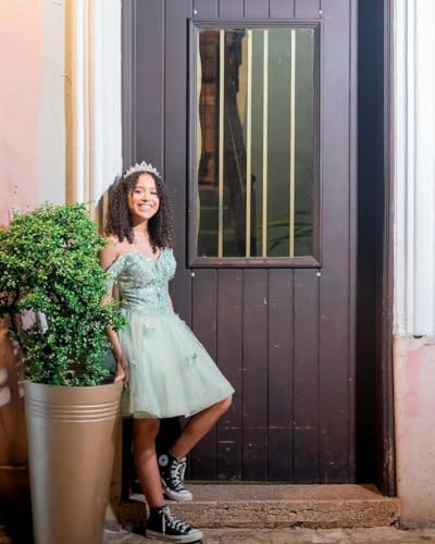 3D Butterfly Homecoming Dresses 2025 Sequin Lace Prom Dress Cocktail Party Dresses Tulle Princess DAMA Dresses - Image 4