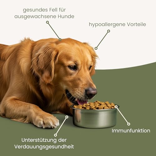 SALiNGO Premium Hundefutter Trocken 15kg Getreidefrei mit 83% Fleischanteil - Hypoallergenes Trockenfutter für Hunde, Hundetrockenfutter 15kg, Pferd & Süßkartoffel, Single Protein - Made in Germany