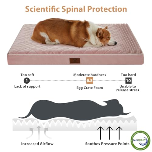 Image of WNPETHOME Orthopedic Dog Bed for Large Dogs, Extra Large Waterproof With Removable Washable Cover & Anti-Slip Bottom, Egg Crate Foam Pet Mat, Multi-Needle Quilting XL Crate Bed