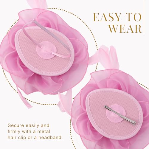 Image of DRESHOW Fascinators Hat Tea Party Headwear Ribbons Feathers on a Headband and a Clip for Women