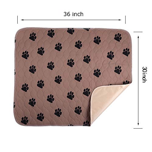 image for PREMIUM CARE Washable Pee Pads for Dogs, 2 Pack Washable and Reusable 
