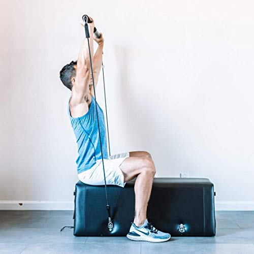 Zeno Gym Workout Bench One | Bench Press | Glute Raises | in-Home Work Out | Made with High-Density Foam | Anti-Slip | 50+ Exercises | Durable and Portable