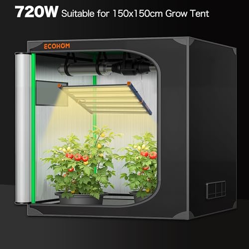 ECOHOM 720W LED Grow Light
