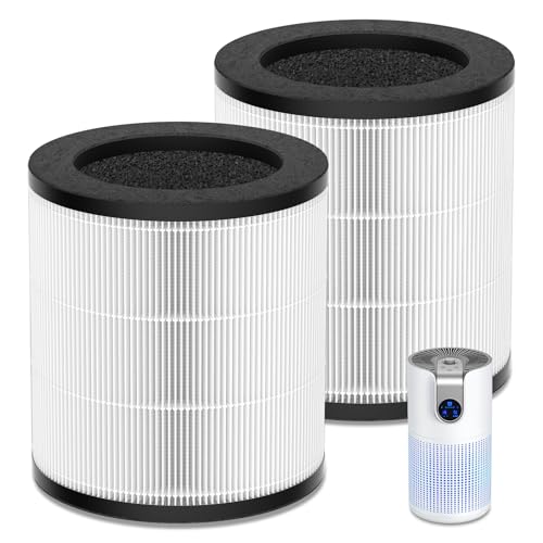 M03 True HEPA Replacement Filter 2 Pack for MooKA M03