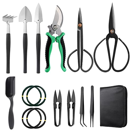 Herramientas para bonsai Leroy Merlin todo lo que necesitas para