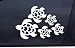 TURTLES SWIMMING Sticker 7.3"x5" WHITE Free Shipping