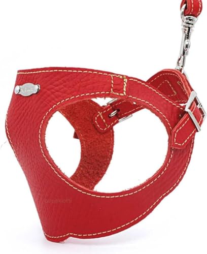 PUPAKIOTTI Pettorina Cane Taglia Piccola e Media | Pettorina per Cani in Pelle, Ergonomica e Regolabile, Made in Italy (M-L, Rosso)