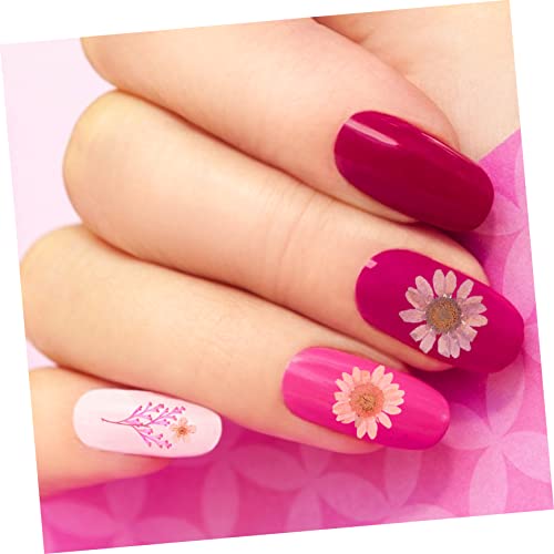 SEWACC 2 Conjuntos De Flores Secas Decoração Manual Acessórios Para Scrapbook Flores Secas Para Resi