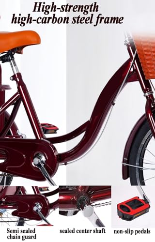 Triciclo Paseo para Adultos con Cabin, 3 Ruedas miniatura 6