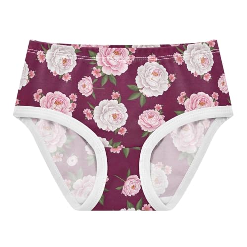 Joisal Print Toddler Girls Underwear 2t Cotton Panties Little Girl Vivid White Pink Flowers Briefs Girls Undies