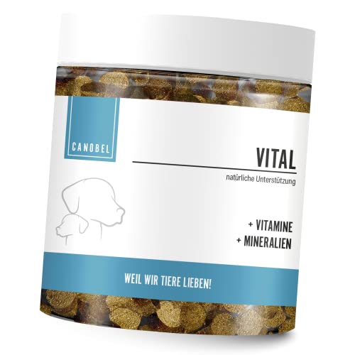 Canobel VITAL Vitamin B Komplex für Hunde & Katzen I B1, B2, B5, B6, B9, B12, K3, D3, Calcium, Folsäure, Zink & Biotin I Fördert das Immunsystem + Nervenfunktionen I Welpen, Adult & Senior