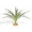 B-artificial Spider Plants