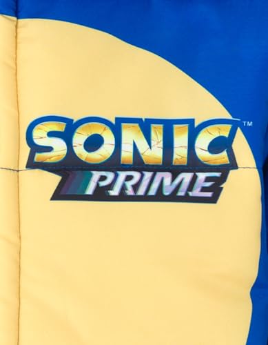 SEGA Sonic the Hedgehog Zip Up Puffer Jacket Toddler to Big Kid Sizes (4-14-16)4