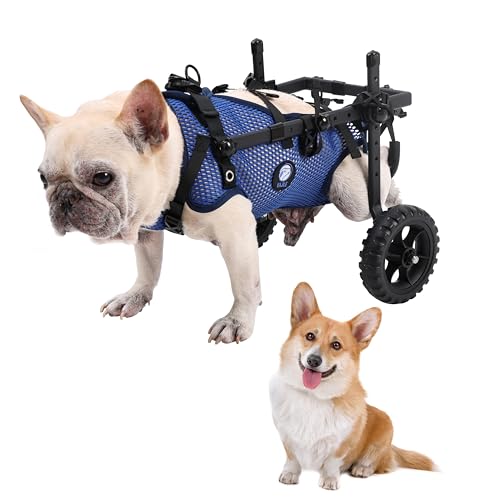 KAJILE Carrozzine per Cani Pieghevoli a Due Ruote,Sedia a Rotelle per Coscia Posteriore di Piccoli Animali Domestici,Sedia a Rotelle per Cani Regolabile per le Zampe Posteriori,Blu,M