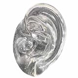 Modelo de oreja de silicona suave: simulación de oreja humana. Herramienta de exhibición for acupuntura, clases de ciencias, consultorio anatómico y estudio.(Left Ear)