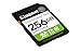 Kingston Canvas Select Plus SD Speicherkarte 256GB SDXC Gen3 150MB/s C10 UHS-I U1 V10 - SDS3/256GB