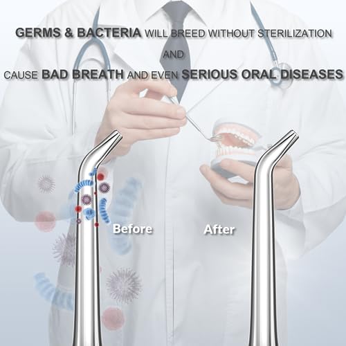universal uv sanitizer portable sterilizer for electric toothbrush heads amp water flosser tips fits 2 picks of any size travel toothbrush sanitizer case