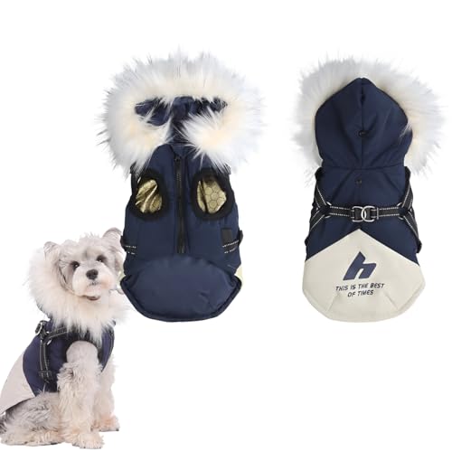 [mocoly]pNіhWPbg pWPbghR[gyEȒP OtF 3bM уt[hSʎIz~ h g ^ t@Xi[tAX ˑ O ۉ h h h ȓ WPbg EȒP U op