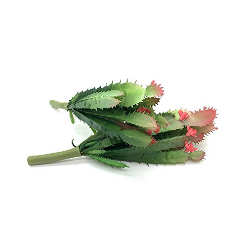 Ebuyom 2 Pcs Mini Artificial Succulents Plants Unpotted Faux Cactus Fake Succulent Bouquet Arrangements Faux Plants Diy For Garden Decor Home Decoration Greenery Set (Mini Cactus) #TOP4