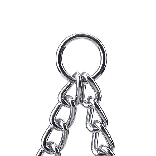 Filhome Metal Double Dog Leash Coupler, Chew Proof Tangle Free Dual Pet Dog Leash Extension Splitter Lead For 2 Dogs #TOP3