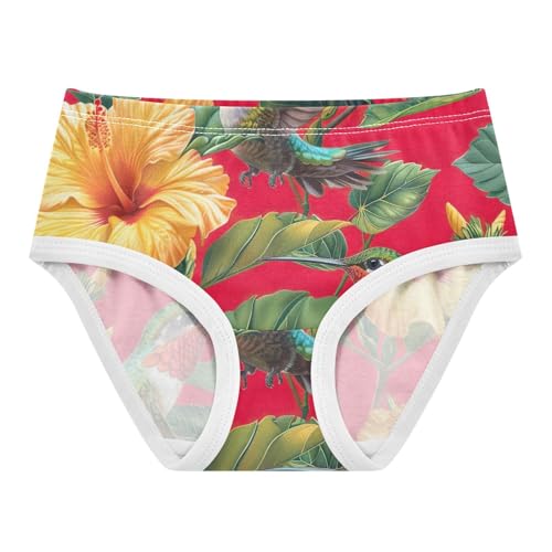 Toddler Briefs, Vibrant Red Green Hummingbirds Cotton Girls Underwear, 2T–8 Years