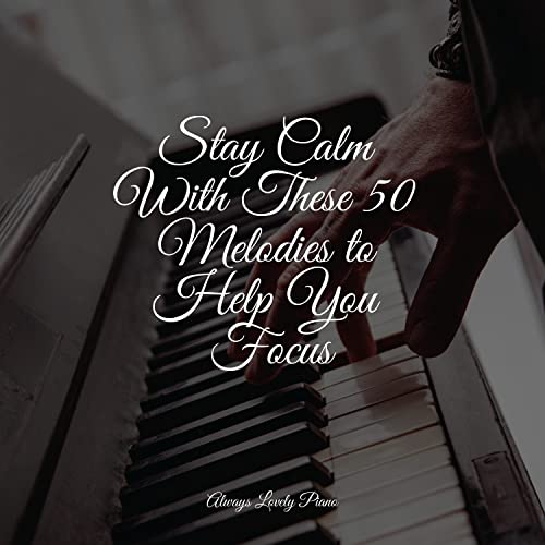 Stay Calm With These 50 Melodies to Help You Focus by Chillout Jazz
