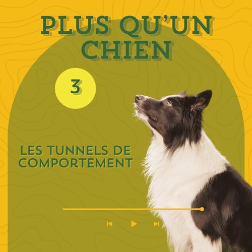 Les tunnels de comportement - Comment stopper les comportements probl&eacute;matiques ?