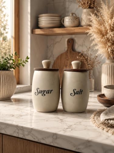 Image of Ceramic Airtight Sugar Salt Canister Set of 2 (Dholak)