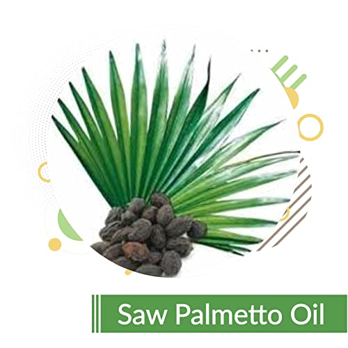 Image of B-URBAN Saw Palmetto Oil (Serenoa Repens) Pure & Natural Cold-Pressed Oil, Manages Pores, Moisturize And Nourish Skin, Prevent Hair Loss, Used In Cream, Lotion, Shampoo, Serum (15ml)