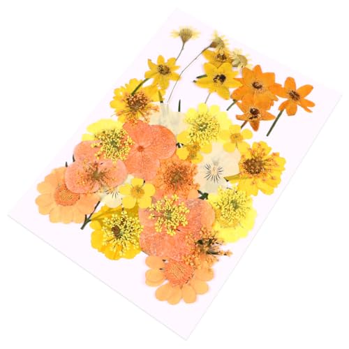 Flores secas prensadas naranjas para manualidades DIY miniatura 1