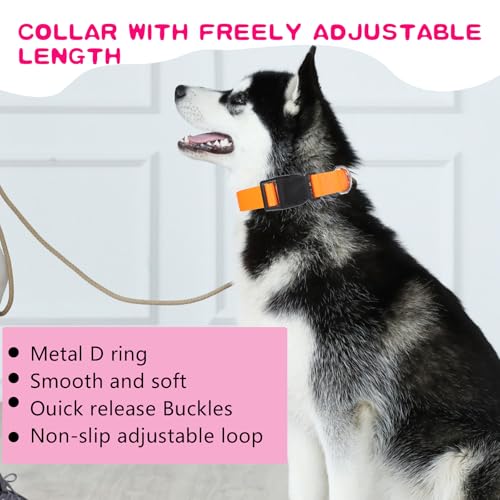 Collar para perro mediano ajustable 20 piezas nylon colores miniatura 3