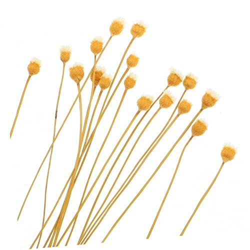 40 piezas varillas de aromaterapia para difusor de aceites miniatura 2