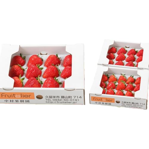 Fruitelier 特選あまおう+おまかせ1種 計2種 いちご 食べ比べ ギフト セット品