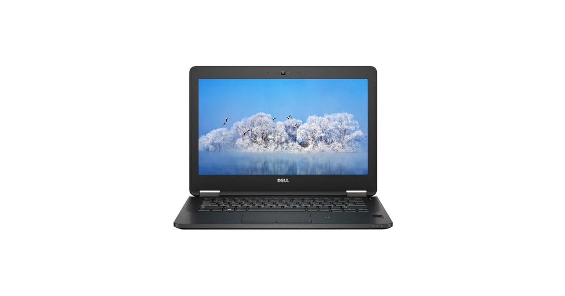 Amazon.com: Dell Latitude E7270 12.5