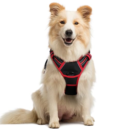 Image of rabbitgoo Dog Harness No Pull with 2 Leash Clips, Adjustable Soft Padded, Reflective Oxford No Choke Pet Vest with Easy Control Handle for Medium Sized Dogs, Black & Red, M