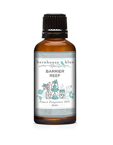 Image of Eternal Essence Oils Barrier Reef 30ml Premium Fragrance Oil - for Candle, Soap Making, Aromatherapy, Diffusers, Home Care, & Humidifiers